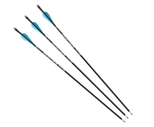 Barnett Slipstream Youth Archery Fiberglass Arrows - 3 Pack, 28 Inch Youth Arrows for Under 40lb Draw Weights - Perfect for Young Archers