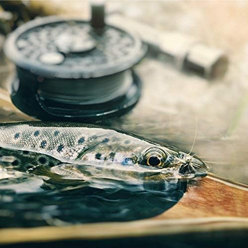 Fly Fishing Set: Rubber Mesh Net, Magnetic Release
