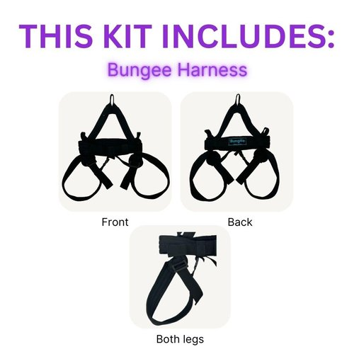 BUNGEE Kit: Ideal for Flying Workouts & Dance. Supports 25-95 kg Weight. Includes Harness, Bungee Ropes, Swivel, Daisy Chain & 1 Month Free Access to Videos, Music & Workouts (M)