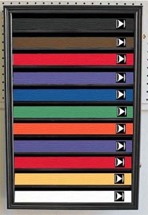 Martial Arts Belt Display Case Rack - 11 Rows Wall Cabinet with Dust-Proof Door