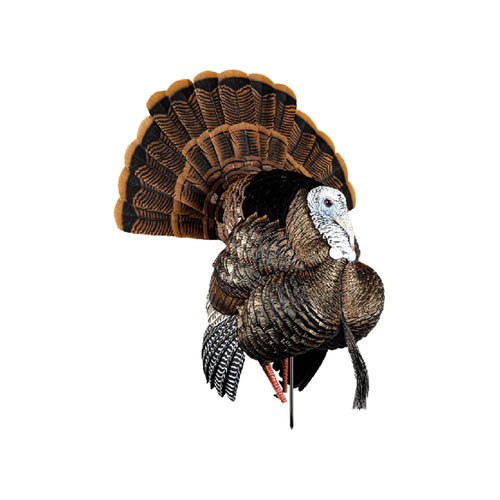 Avian-X HDR Strutter Turkey Decoy with 2 Removable Heads & LCD Laydown Hen Turkey Decoy with Carry Bag & Stake Hunting Decoy Bundle