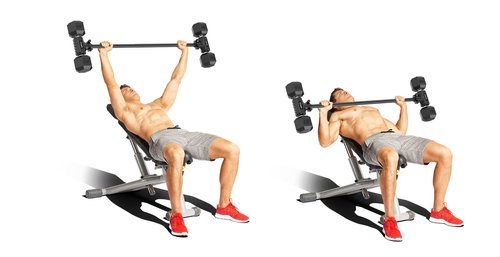 Dumbbell Converter by SEWD – Turn Dumbbells into Barbell Set – Adjustable Weights & Up to 220LB Capacity Barbell for Home Gym Full Body Workouts.
