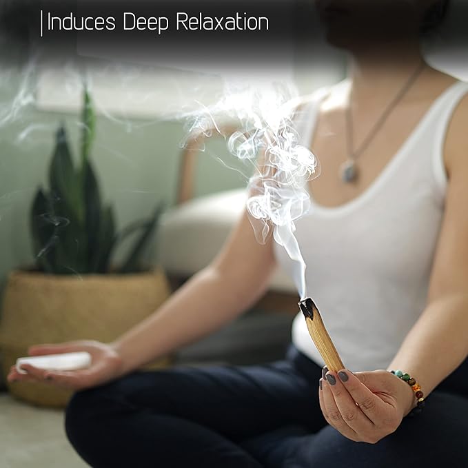 Wish Well Sage Smudge Kit ~ 4" Dragon Blood, Chakra Sage, White Sage Smudge Stick, 2 Palo Santo Sticks, Abalone Shell, Stand, Feather, 7 Chakra Stones & Crystal Bracelet ~ Cleansing House & Meditation
