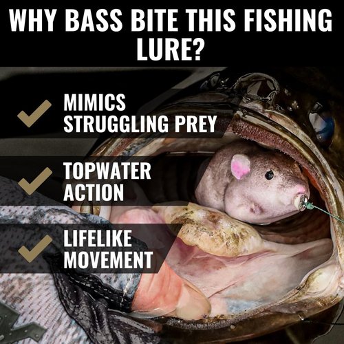 LUNKERHUNT Furenzy Mouse Topwater Lure for Bass, Trout & Pike – 2.5”, 1/2 oz | AquaFur for 15% Water Retention & Realistic Action | Weedless Hook & Soft Rubber Tail for Precision Casting Grey