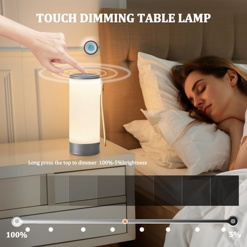 LSTVZSNRX Modern Design Donut Table Lamp, LED Bedside Desk Lamp with Durable Shade, Rotomolded Small 3-Color Dimmable Nightstand Lamps (Not Glass) (Black)