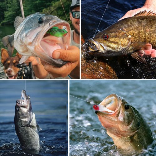 RYACO Soft Fishing Lures, Pre-Rigged Jig Soft Plastic Fishing Lures with Reflective Spinner, Paddle Tail Swimbaits for Bass Trout Walleye Crappie Fishing Jigs, 5PCS
