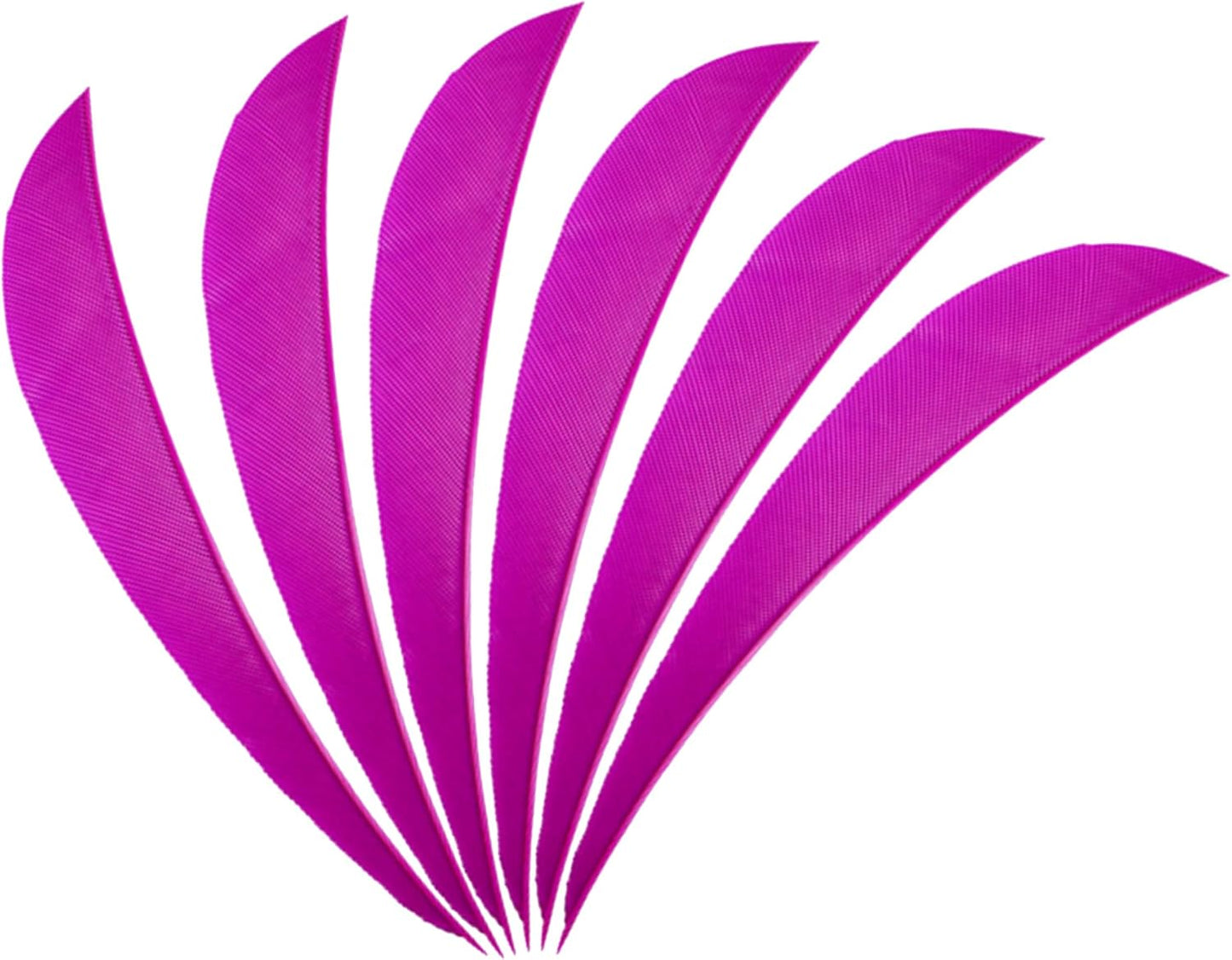ZSHJGJR Archery Arrow Feathers 3 Inch 4Inch 5 Inch Turkey Feathers Fletchings Arrow Feathers Fletches Right Wing for DIY Hunting Arrows 50PCS