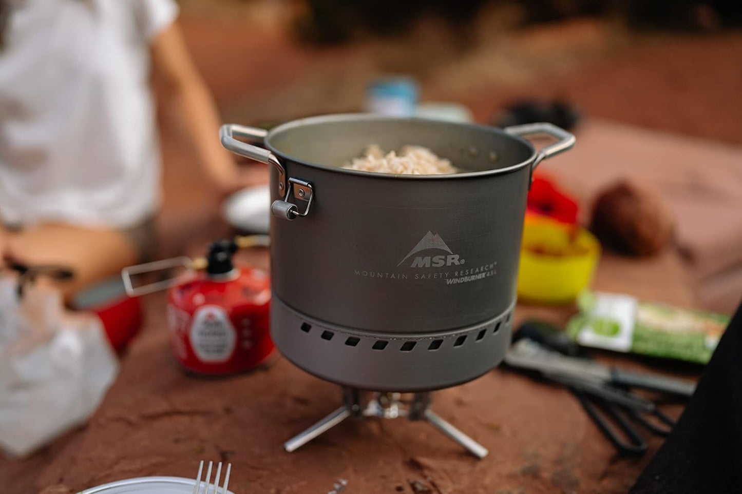 MSR WindBurner 4.5 Liter Nonstick Camping and Backpacking Stock Pot,Gray
