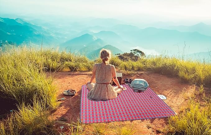 Wind Tour Family Outdoor Waterproof Durable Picnic Blankets with Carry Strap Foldable Sandproof Picnic Floor Mat for Kids Playground Camping Hiking Grass Travelling (2, Red)