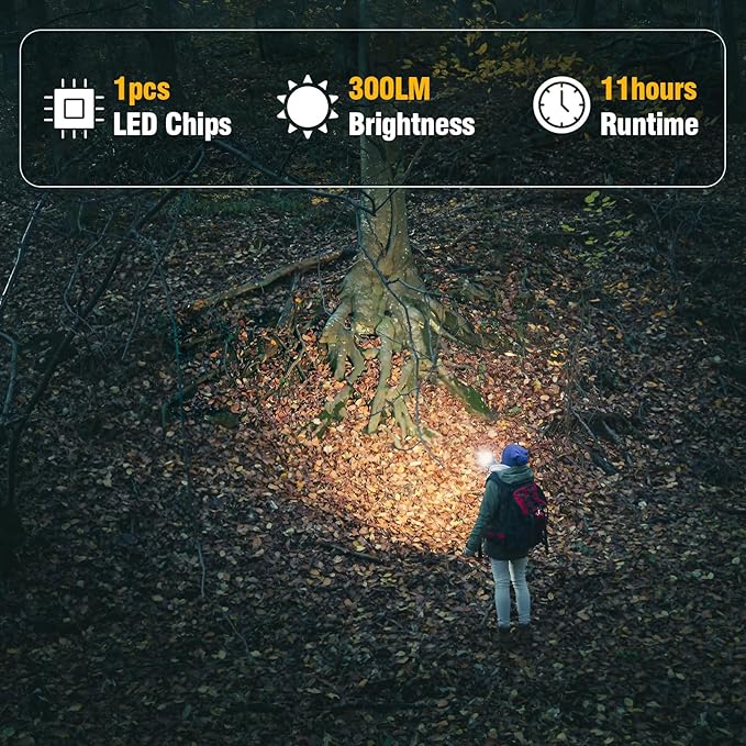 Solar Camping Lantern for Power Outages - USB Rechargeable Lamp Camping Essentials,Collapsible Waterproof Solar Lights for Indoor Outdoor Emergency Light/4 Packs