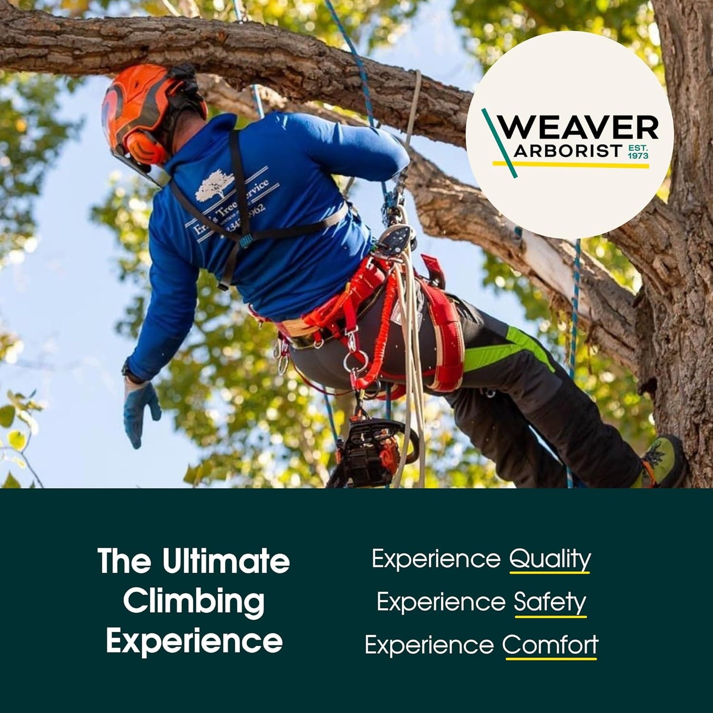 Weaver Arborist Nylon Foot Ascender Tree Climbing Sling, Short, HAAS Velox Rope Ascender System, Zero Setup, Durable Arborist Gear (Black/Orange)