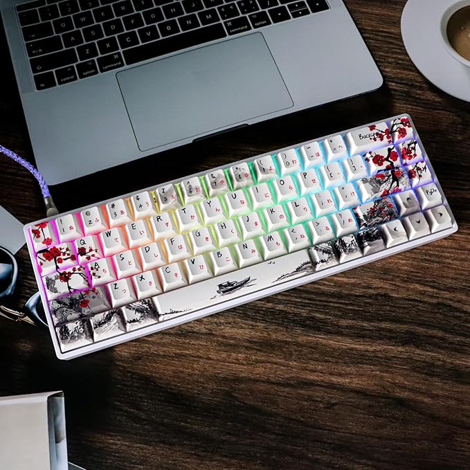MOLGRIA GK68 68-Key RGB Backlit Gaming Keyboard with Plum Blossom Keycaps, Hot Swappable Yellow Mechinery Switches, Type C Wired Mechanical Keyboard for Win/Mac OS