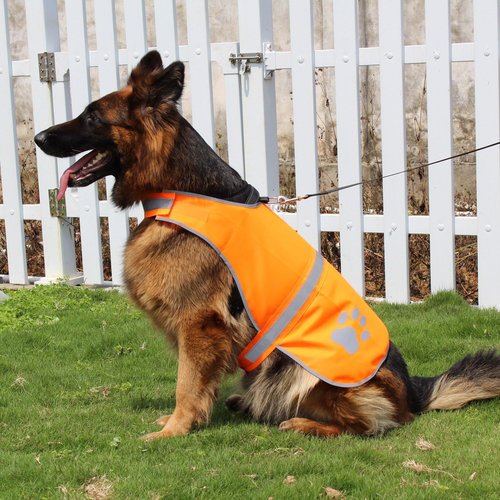 Dog Reflective Vest High Visibility Safety Jacket for Walking Running Hiking to Keep Dogs Visible Safe from Cars and Hunting Accidents Orange XXL