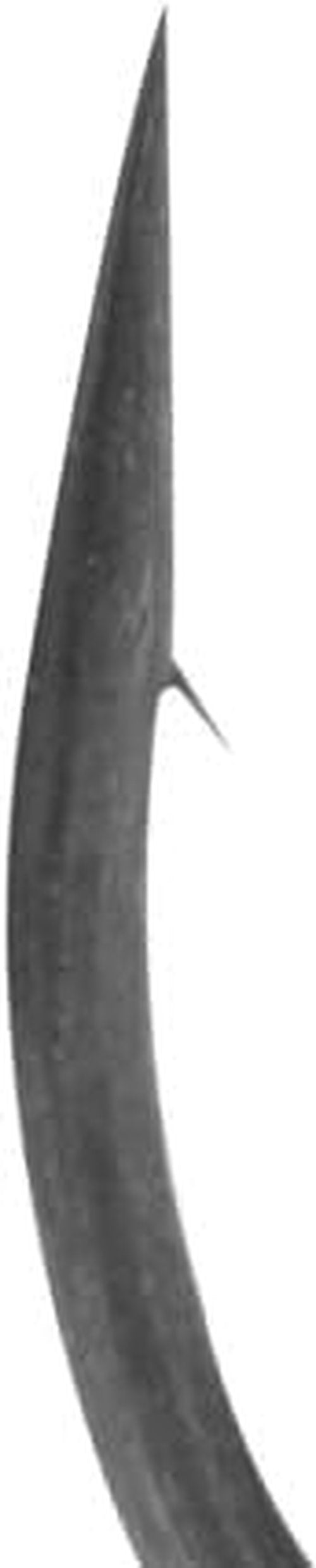 BKK DROPSHOT - Long Shank - #1