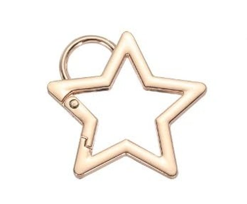 Star Shaped Stainless Steel Keychain Clip Carabiner Snap Hook Holder Star Hook Clip Key Holder Keyrings Carabiners Small, Accessory and Keychain Carabiners (Golden)
