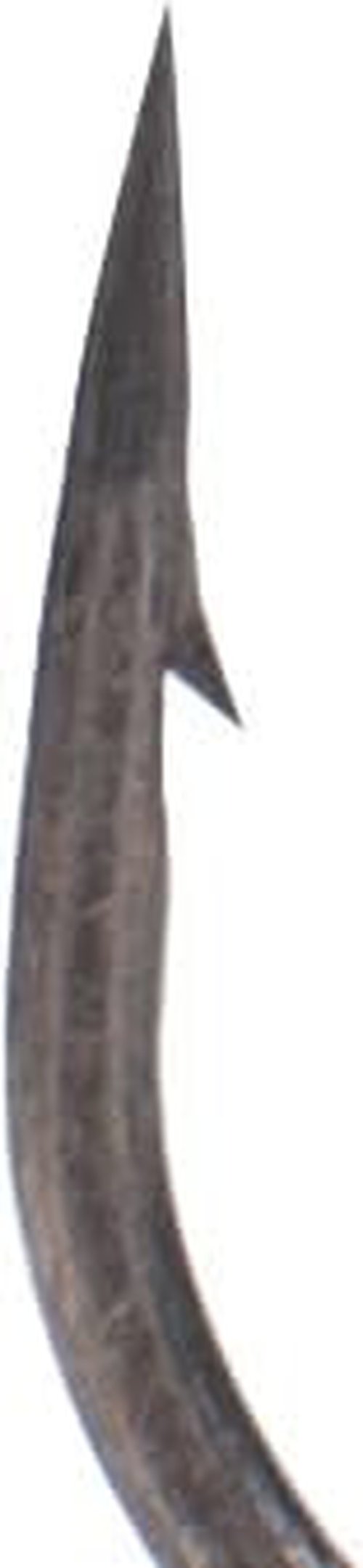 BKK Offset Worm Round Bend - 4/0