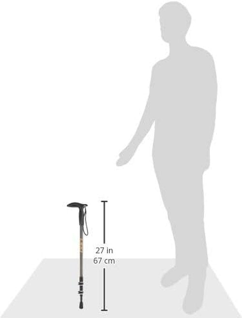 LEKI Wanderfreund Speedlock Trekking Pole
