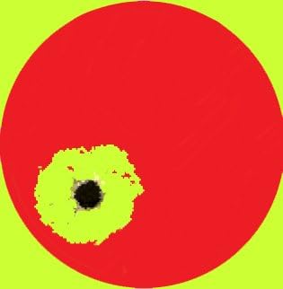 Splatterburst Targets - 10 Pack 1 inch Stick & Splatter Self Adhesive Red Bullseyes - Gun - Rifle - Pistol - Airsoft - BB Gun - Pellet Gun - Air Rifle - Made in USA