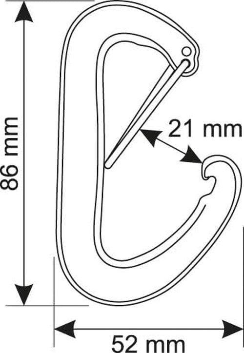 CAMP Nano 22 Carabiner