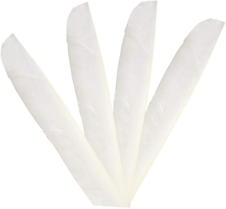 ZSHJGJR 50 Pack Archery Arrow Spiral Twist Wrap Full Length Feathers Left Wing Feathers Fletches Fletching (8-11inch) for Flu-Flu Arrows