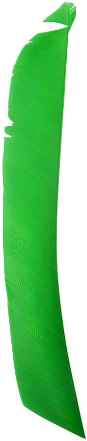 ZSHJGJR 50 Pack Archery Arrow Spiral Twist Wrap Full Length Feathers Left Wing Feathers Fletches Fletching (8-11inch) for Flu-Flu Arrows