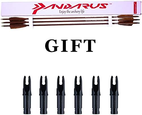 Archery 31-Inch Carbon Hunting Arrows, 4-Inch Turkey Feather Fletching with Replaceable Points, Targeting Practice Arrows Spine 500 for Recurve & Traditional Bows