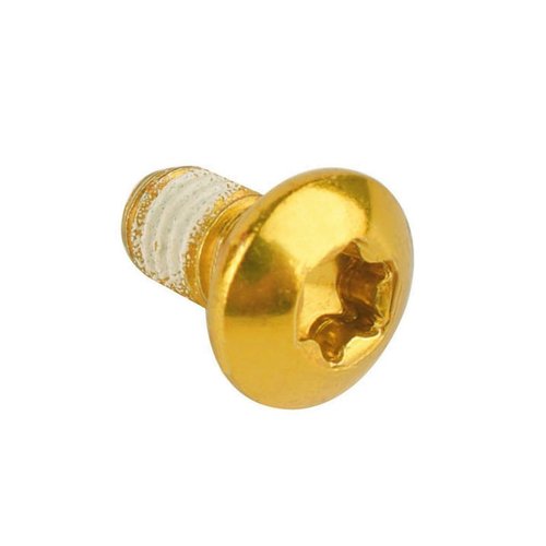 KOSJETHAS 12Pcs Bicycle Disc Brake Rotor Bolts M5x10mm Torx T25 Screws For MTB Mountain Bike (Gold)