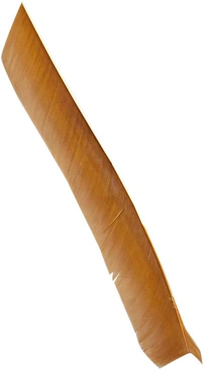 ZSHJGJR 50 Pack Archery Arrow Spiral Twist Wrap Full Length Feathers Left Wing Feathers Fletches Fletching (8-11inch) for Flu-Flu Arrows