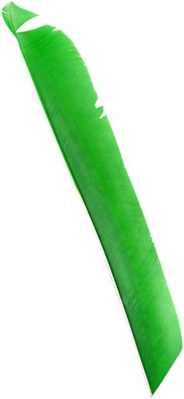 ZSHJGJR 50 Pack Archery Arrow Spiral Twist Wrap Full Length Feathers Left Wing Feathers Fletches Fletching (8-11inch) for Flu-Flu Arrows