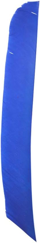 ZSHJGJR 50 Pack Archery Arrow Spiral Twist Wrap Full Length Feathers Left Wing Feathers Fletches Fletching (8-11inch) for Flu-Flu Arrows