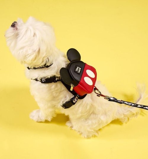 Loungefly Pets Mickey Mouse Classic Mini Backpack Dog Harness - Size Large