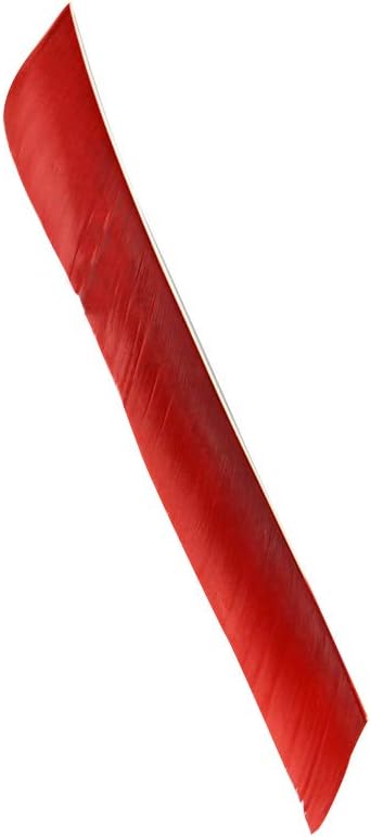 ZSHJGJR 50 Pack Archery Arrow Spiral Twist Wrap Full Length Feathers Left Wing Feathers Fletches Fletching (8-11inch) for Flu-Flu Arrows