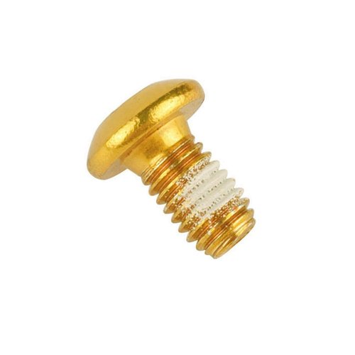 KOSJETHAS 12Pcs Bicycle Disc Brake Rotor Bolts M5x10mm Torx T25 Screws For MTB Mountain Bike (Gold)
