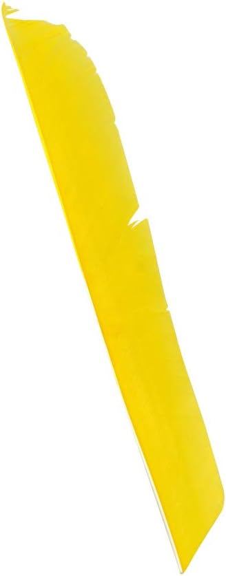 ZSHJGJR 50 Pack Archery Arrow Spiral Twist Wrap Full Length Feathers Left Wing Feathers Fletches Fletching (8-11inch) for Flu-Flu Arrows