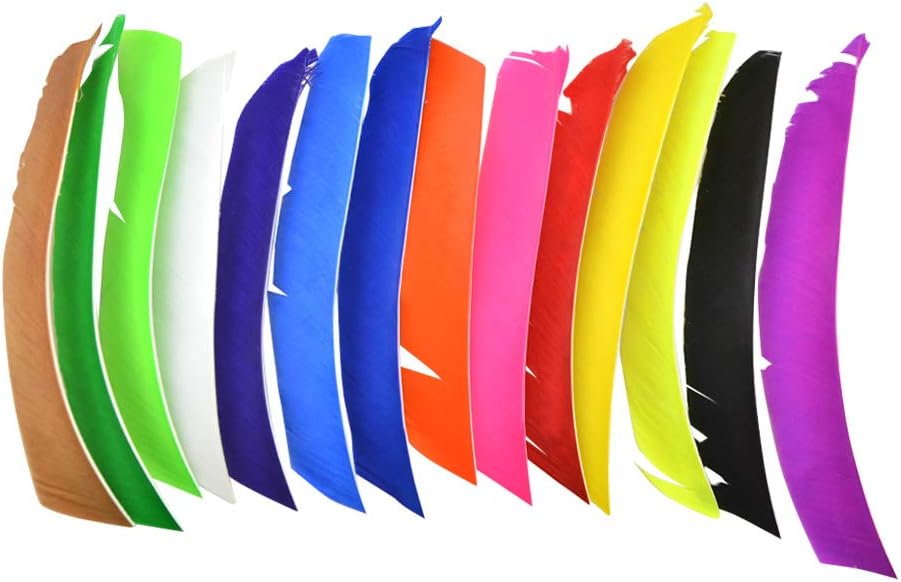 ZSHJGJR 50 Pack Archery Arrow Spiral Twist Wrap Full Length Feathers Left Wing Feathers Fletches Fletching (8-11inch) for Flu-Flu Arrows