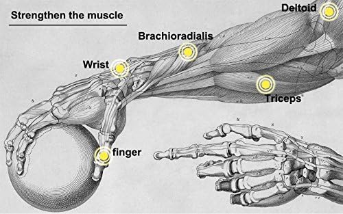 Power Wrist Ball AUTO Start Gyro Ball with LED Lights Forearm Exerciser Wrist Strengthener for Strengthening Muscle and Bones
