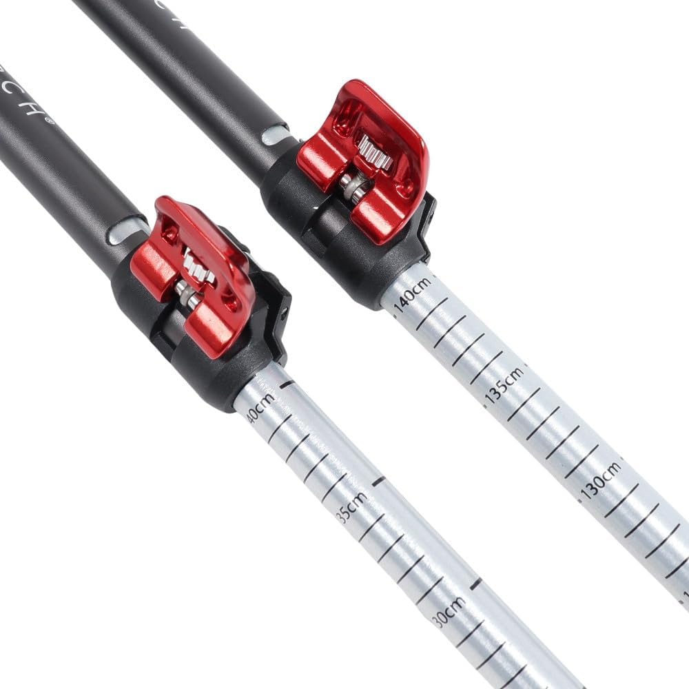 MSR DynaLock Explore 3-Section Alumunium Backcountry Poles