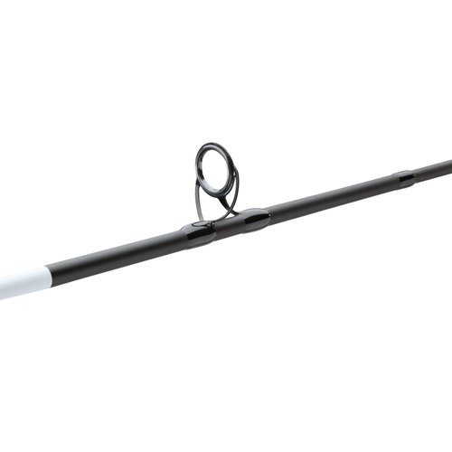 Berkley Fusion Spinning Reel and 7' Fishing Rod Combo, 2 Ball Bearings with Lightweight Graphite Reel Body, 2-Piece Rod
