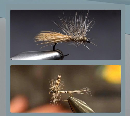 KTGCOZS Pack of 50 Flank Feathers Fly Tying Natural Barred Mallard Duck Flank Feathers Wild Goose Hair Wing
