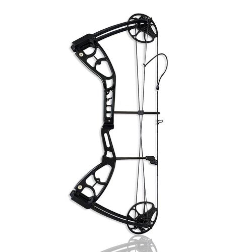 PANDARUS Archery Compounnd Bow Set Fully Adjustable for Adults and Teens,25.4"-32" Draw Length,30-70LBS Draw Weight,Up to 320 FPS,Limbs Made in USA 2025 New(Right Handed Pro Black)