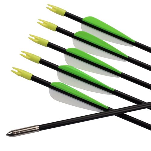 Fiberglass Practice Arrows Archery 24 Inch Target Shooting Safety Recurve Bows Suitable for Youth Children Woman Beginner 12 PCS