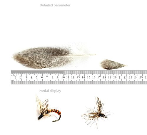 KTGCOZS Pack of 50 Flank Feathers Fly Tying Natural Barred Mallard Duck Flank Feathers Wild Goose Hair Wing