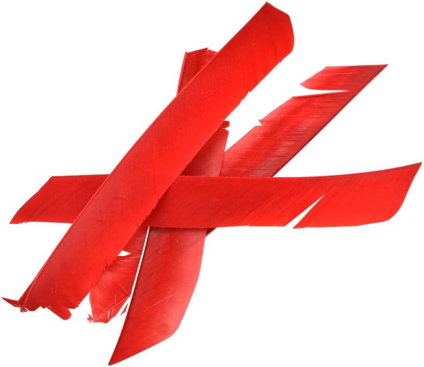 ZSHJGJR 50 Pack Archery Arrow Spiral Twist Wrap Full Length Feathers Left Wing Feathers Fletches Fletching (8-11inch) for Flu-Flu Arrows