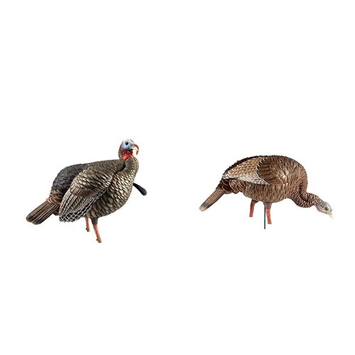 Avian-X HDR Jake Turkey Decoy with 2 Heads & HDR Feeding Hen Turkey Decoy Bundle
