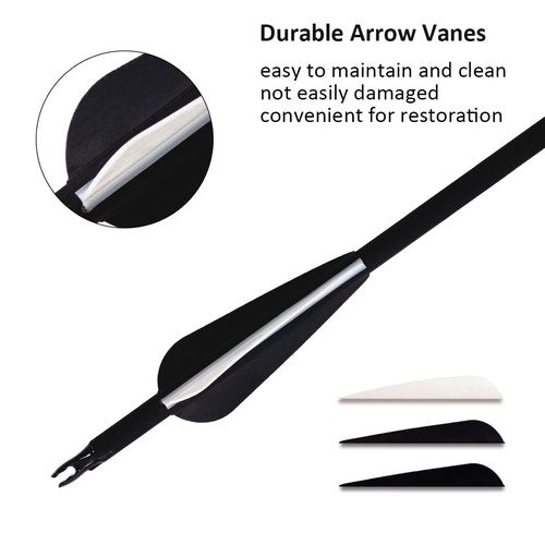 Luoyer 12Pcs Archery Hunting Arrows for Compound Bow Recurve Bow Carbon Arrows with Removable Tips Adjustable Nocks for Adults Hunting Targeting 30inch (Black Vanes)
