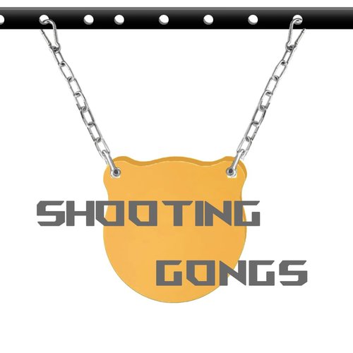 KNUOPYT Heavy Duty Stainless Steel Chain 550LB Capacity for Hanging Shooting Targets Punching Bags, Including 2 Chain, 2 D-Shackle, 2 Carabiners (4MM, Thicknee)