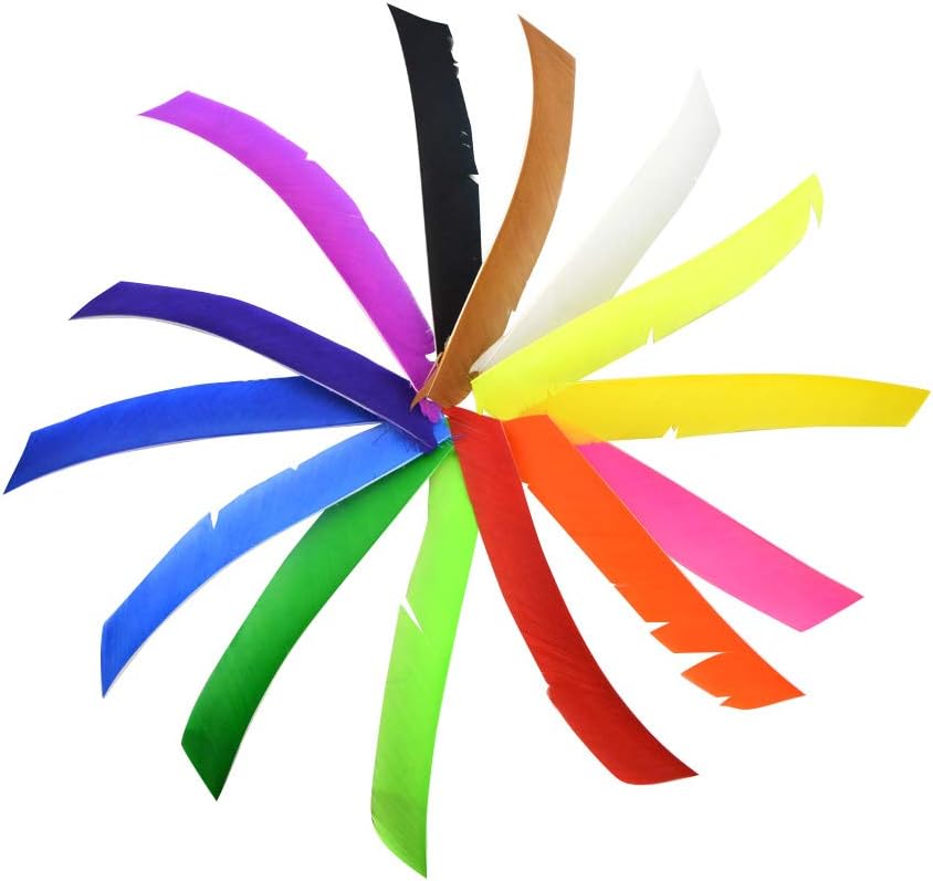 ZSHJGJR 50 Pack Archery Arrow Spiral Twist Wrap Full Length Feathers Left Wing Feathers Fletches Fletching (8-11inch) for Flu-Flu Arrows