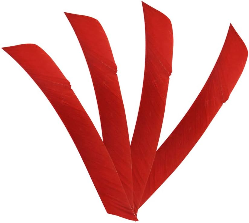 ZSHJGJR 50 Pack Archery Arrow Spiral Twist Wrap Full Length Feathers Left Wing Feathers Fletches Fletching (8-11inch) for Flu-Flu Arrows