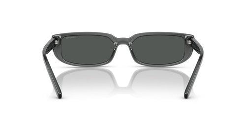 ARNETTE Sunglasses AN 4348 296787 Transparent Grey/Dark Policarbonate Standard