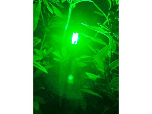 DEEPOWER Crossbow Lighted Nocks for Bolts 6 PCS with .285”/.297”/.300”/.305” Bushings LED Nock with ON/Off Switch (6, Green 2.0)